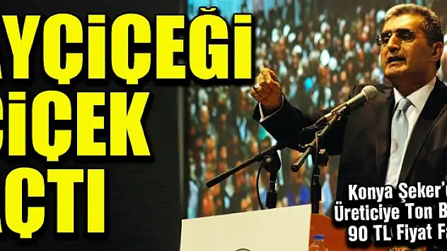 Ayçiçeği Çiçek Açtı...