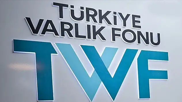 TVF'den kamu bankalarına sermaye desteği