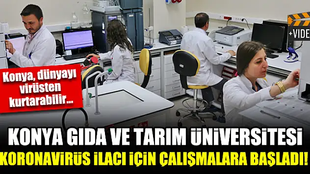 Konya Gıda ve Tarım Üniversitesi koronavirüs ilacı için çalışmalara başladı!