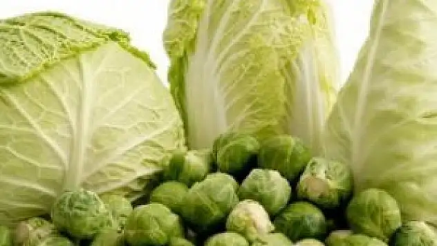 Erken yaşlanmayı önlüyor