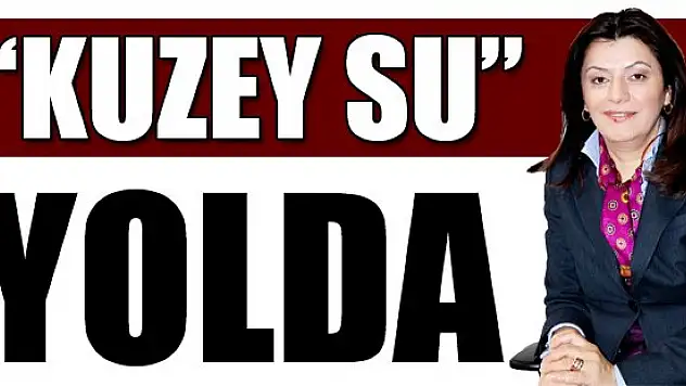 'Kuzey Su' yolda