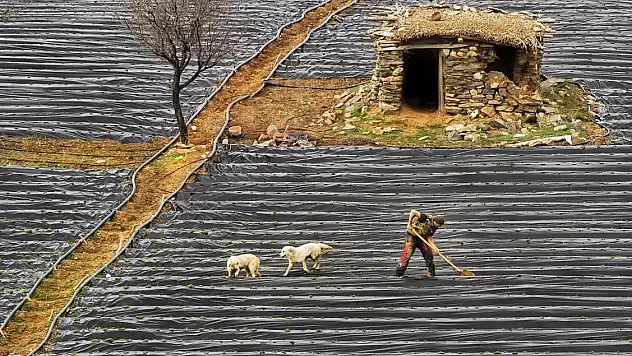 Konyalı'dan bi başarı daha