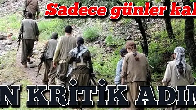 Silah bırakma için yeni tarih Şubat