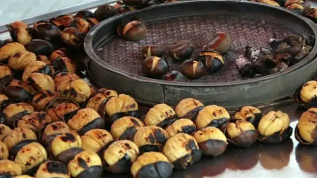 Kestane sevene kötü haber