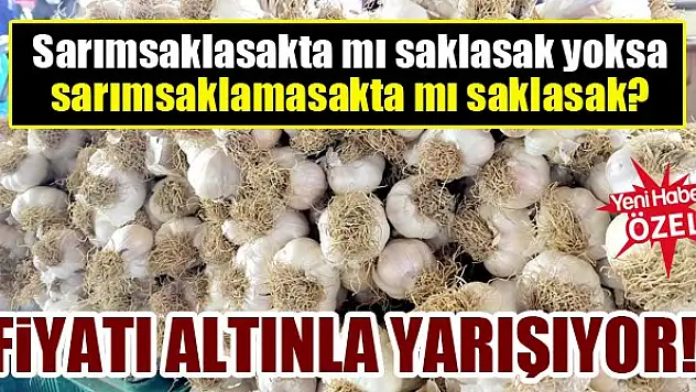 Sarımsak fiyatlarındaki yükseliş adeta altınla yarışıyor!