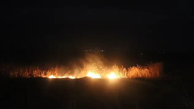 Beyşehir'de korkutan yangın