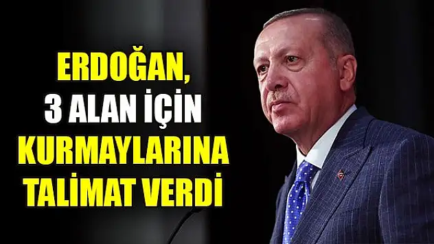 Cumhurbaşkanı Erdoğan, 3 alan için kurmaylarına talimat verdi