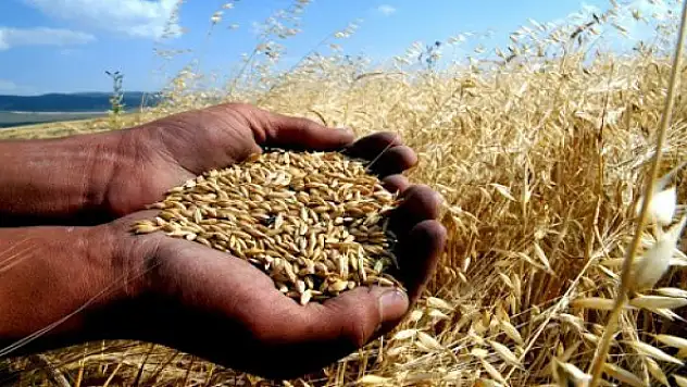 Konya Ticaret Borsası mısır, buğday, beyaz arpa, fasulye fiyatları