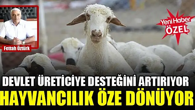 Fettah Öztürk: Tarım ve hayvancılık mağdur edilmiyor