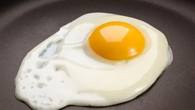 Uzmanlar yumurta ile şaşırttı