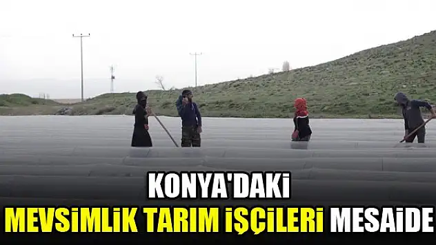 Konya'daki mevsimlik tarım işçileri mesaide