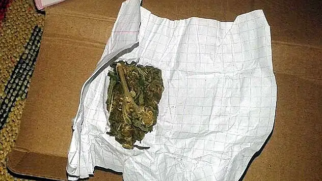 Bakanlar Kurulu'ndan 'bonzai' kararı