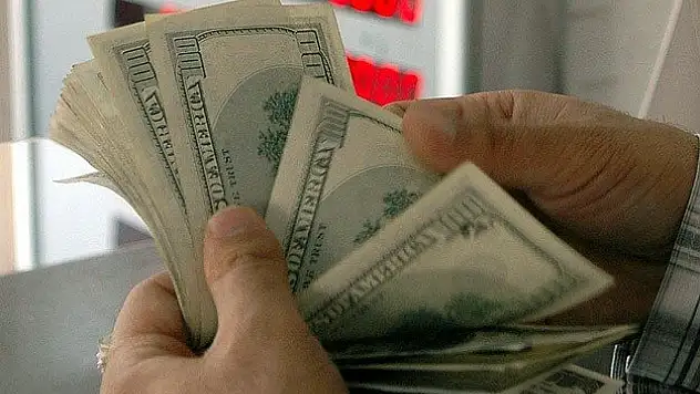 Dolar 2,46'yı aştı