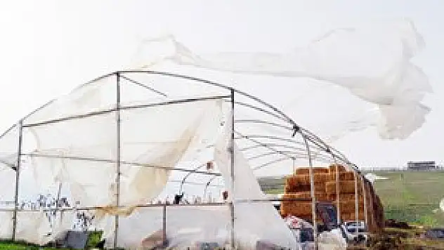 LODOS TOPRAĞI CANLANDIRIR - ÖZEL HABER