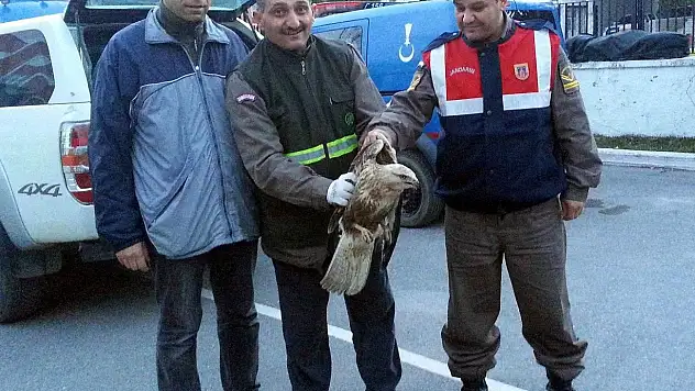 Jandarma'dan Kızıl Şahin'e şefkat eli