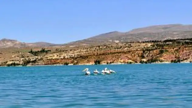 Altınapa'nın doluluk oranı arttı