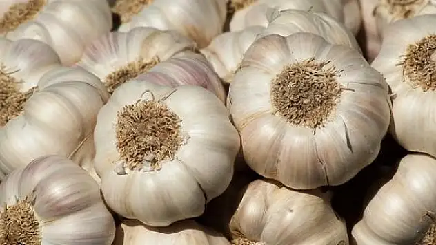 Konya'nın zam şampiyonu sarımsak oldu