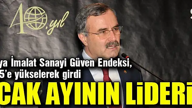 Ocak ayının lideri yatırım malları sektörü oldu