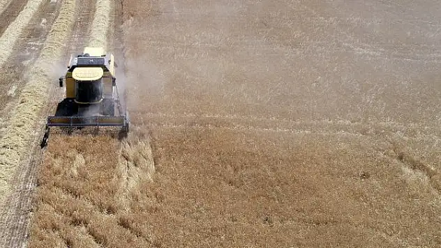 Hububat ve bakliyat ihracatı 8 ayda 4,6 milyar dolar oldu