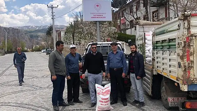Taşkent'te yüzde 75 hibe destekli tohum dağıtıldı