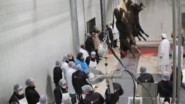 Konya'ya yeni et entegre tesisi