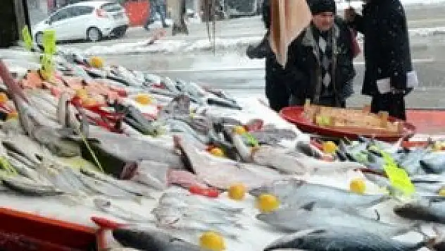 Balık fiyatları el yakıyor