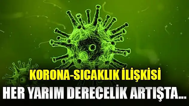 Korona-sıcaklık ilişkisi... Her yarım derecelik sıcaklık artışında...