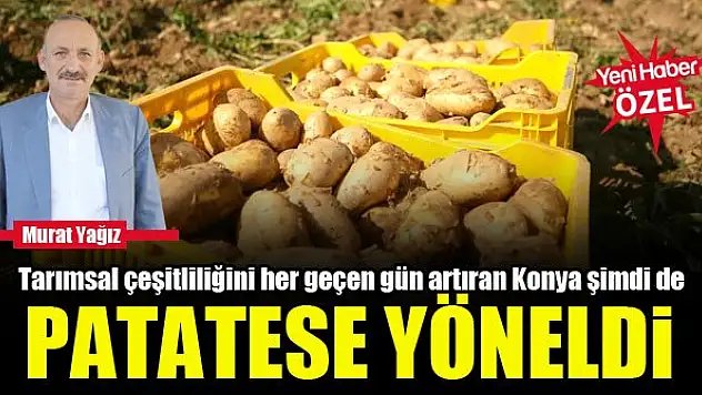 Tarımsal çeşitliliğini her geçen gün artıran Konya şimdi de patatese yöneldi