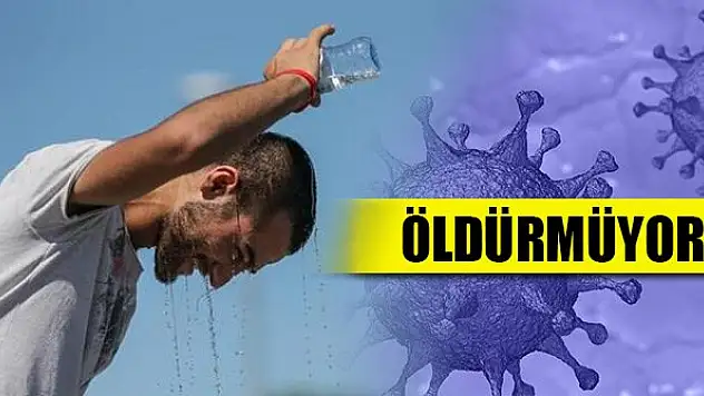 'Sıcak hava virüsü yavaşlatır ama öldürmez'