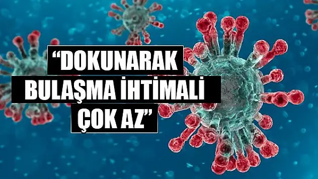 Prof. Ateş Kara: Dokunarak bulaşma ihtimali çok az