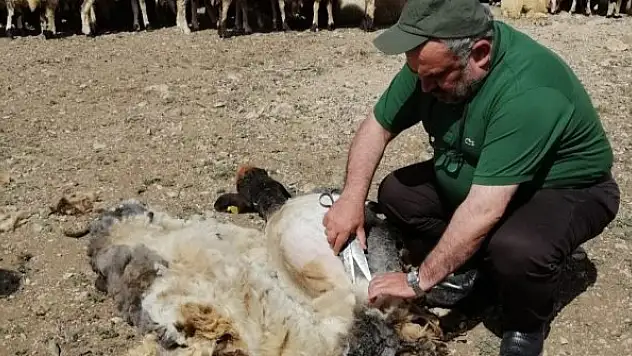 Etyemez Ereğli'de Akgöl ve Berendi'yi ziyaret etti