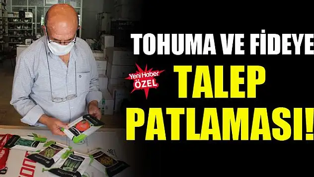 Tohuma ve fideye talep patlaması!
