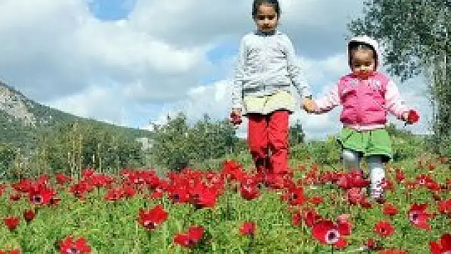 Soğuk hava Türkiye'yi terk ediyor
