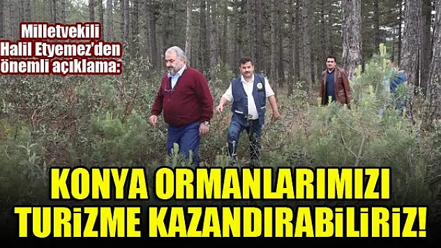 Milletvekili Halil Etyemez: Konya ormanlarımızı turizme kazandırabiliriz