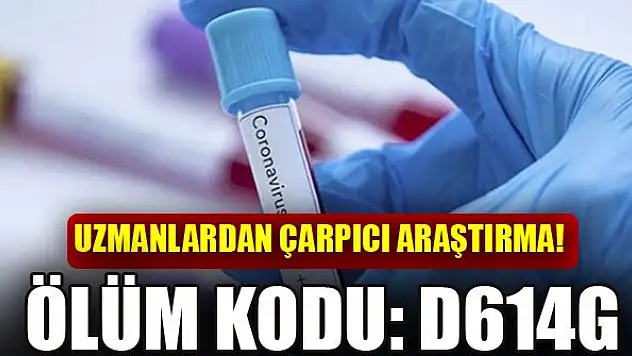 Uzmanlardan çarpıcı araştırma!
