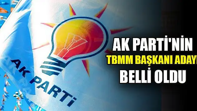 AK Parti'nin TBMM Başkanı adayı belli oldu