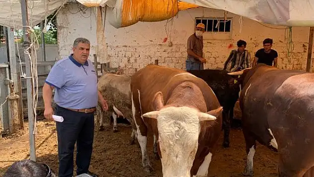 Konya'da kurbanlık fiyatları açıklandı