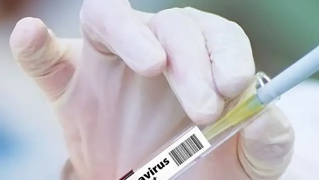 Kovid-19'a karşı yeni aşı adayının klinik denemelerine başlandı