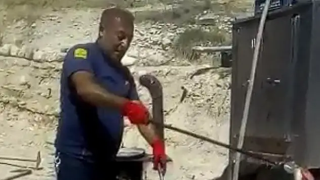 Ereğli'de görülen yılan korkuya neden oldu