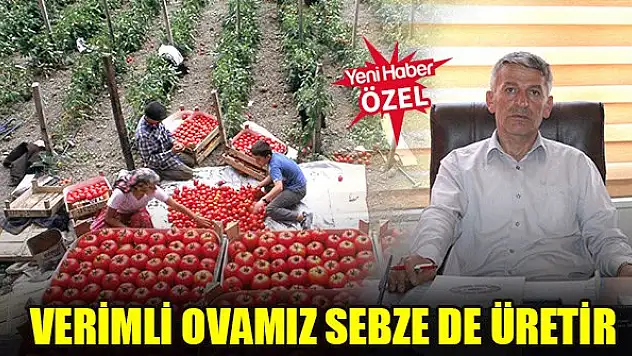 Verimli ovamız sebze de üretir