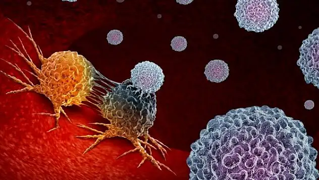 Koronavirüs bağışıklığı sadece birkaç ay sürebilir