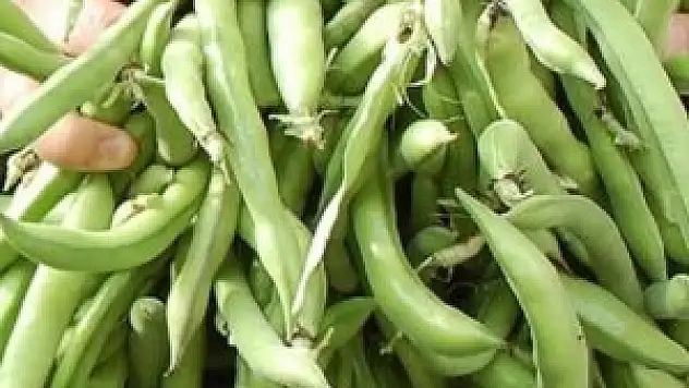 Parkinson hastalarına bakla uyarısı!