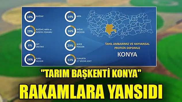 'Tarım başkenti Konya' rakamlara yansıdı
