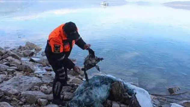 Beyşehir Gölü'nden bir yılda 40 kilometre yasak ağ çıkarıldı