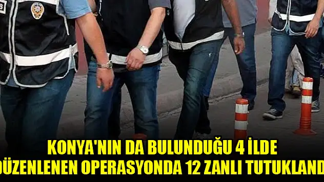 Konya'nın da bulunduğu 4 ilde düzenlenen operasyonda 12 zanlı tutuklandı