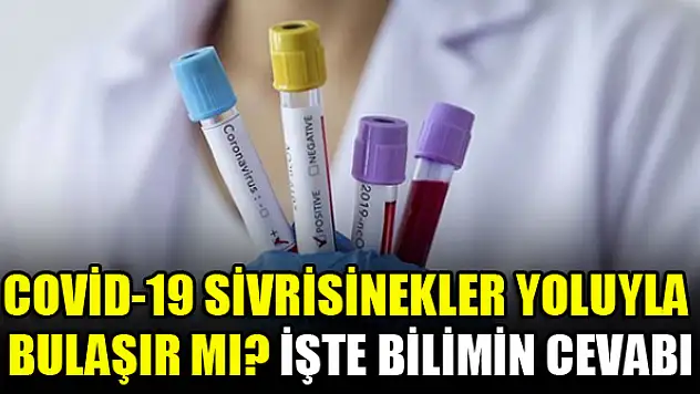 Covid-19 sivrisinekler yoluyla bulaşır mı? İşte bilimin cevabı