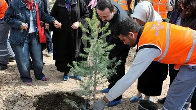 SÜ'de 2015 fidan dikildi