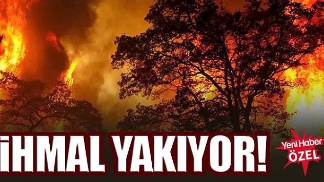 Orman yangınları insan kaynaklı