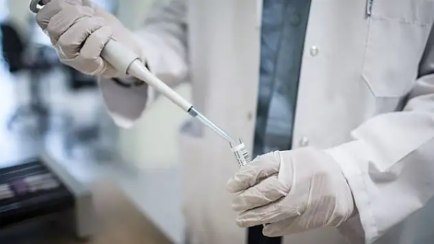 Kovid-19'u etkisiz hale getirebilen antikorlar izole edildi