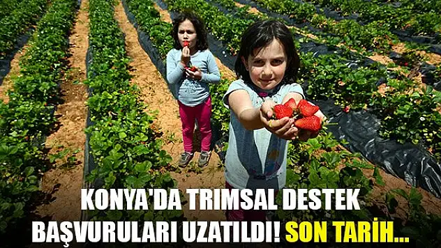 Konya'da trımsal destek başvuruları uzatıldı! Son tarih...